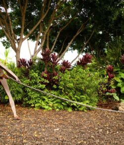 Demi-God Maui installed at Andaz Maui at Wailea Entrance A garden scene with a wooden bench and lush greenery under trees.