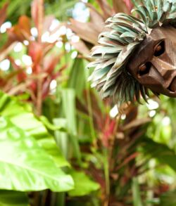 Close Up of the Brand-New Lei Po‘o A person wearing a traditional leaf crown peeks through tropical foliage.