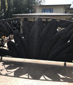 Main Entry Gate Black feathers arranged in a fan shape on a display stand outdoors.
