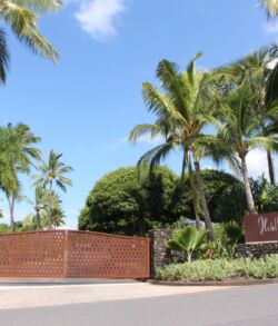 After photo Entrance gate to a tropical resort with palm trees and clear skies.