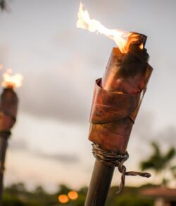 Copper Ancient Hawaiian Ti leaf wrap tiki torches Close-up of a flaming tiki torch outdoors at dusk.