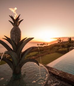 A pineapple sculpture with a sunset over a pool and landscape.