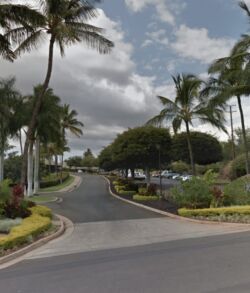 Before photo A scenic road lined with palm trees under a cloudy sky.