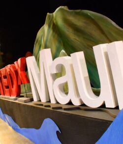 Maui Arts and Cultural Center. Photography by Peter Liu. Illuminated TEDxMaui sign at night outdoors.