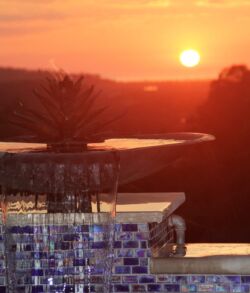 Sunset over a pool with a silhouetted tree in the background.