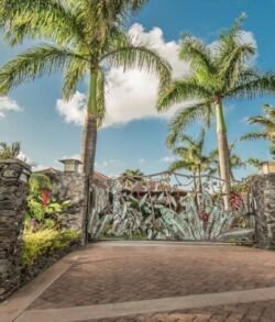 Scenic tropical entrance with palm trees and a stone gate under a blue sky.