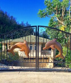 Decorative dolphins mounted on a black metal gate in a sunny outdoor setting.