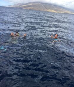 Three people swimming in the open sea near a coastline.