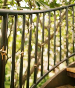 Close-up of a curved metal railing with foliage in the background.