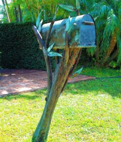 A rustic mailbox mounted on a natural wooden post in a garden.