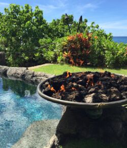 A birdbath filled with birds by a pool and lush greenery.