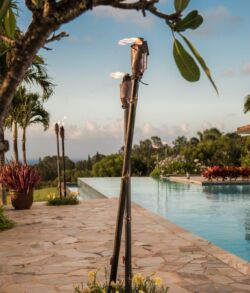 Two tiki torches beside a pool with palm trees in the background.