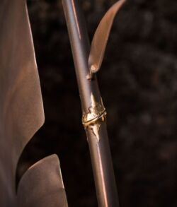 Close-up of a bamboo stalk with a knotted joint in soft lighting.
