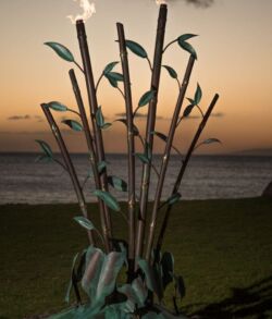 Sunset silhouettes of tall plants by the water's edge.