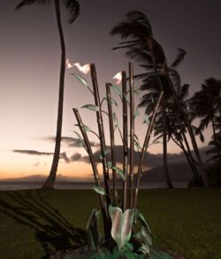 Tall palm trees sway gently at sunset in a tropical setting.