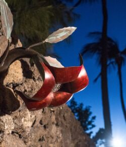Red high heels hanging on a tree branch at dusk.