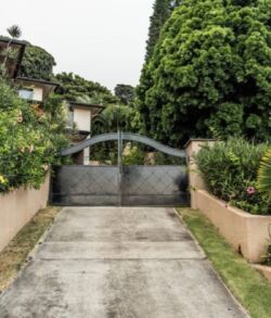 Driveway leading to a gated entrance surrounded by greenery.