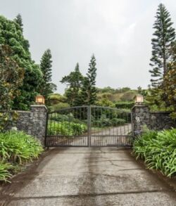 A gated driveway entrance surrounded by lush greenery and trees.