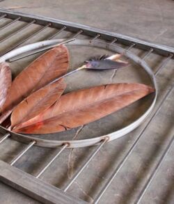 Raw fish fillets on a metal tray.