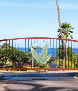 Decorative gate with a large leaf design overlooking the ocean.