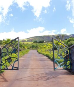 Open wrought iron gate leading to a vineyard pathway under a partly cloudy sky.