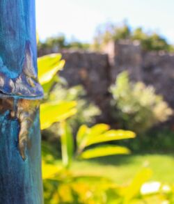 Close-up of a bamboo stick with a blurred garden background.