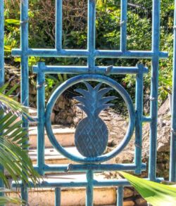 Blue metal gate with a pineapple design in the center.