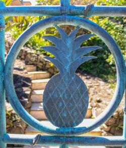 Decorative metal gate featuring a pineapple design.