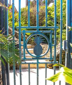 A blue metal gate with a pineapple design in a garden.