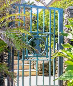 Decorative blue metal gate with a circular design in a garden setting.