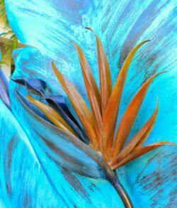 Close-up of an orange flower stamen on bright blue petals.