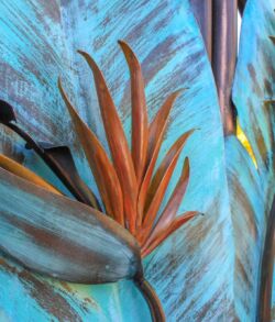 Close-up of a blue feather with detailed orange barbs.