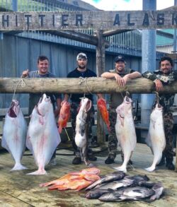 Four men proudly display their large catch of fish at Whittier Alaska.