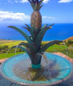 Copper and brass Pinapple fire and water feature Sculptural pineapple fountain overlooking ocean and scenic landscape.