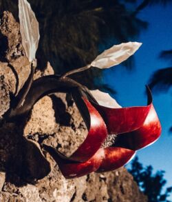 Red high heels placed on rocky ground under a deep blue sky.