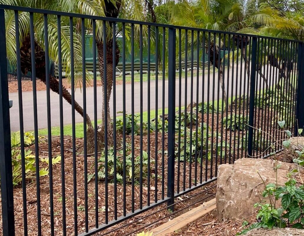 Black metal fence enclosing a garden with plants and palm trees.
