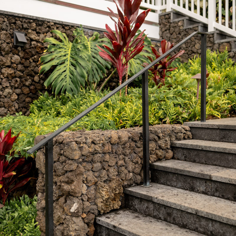 Tropical plants beside stone stairs